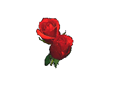 pour tous
